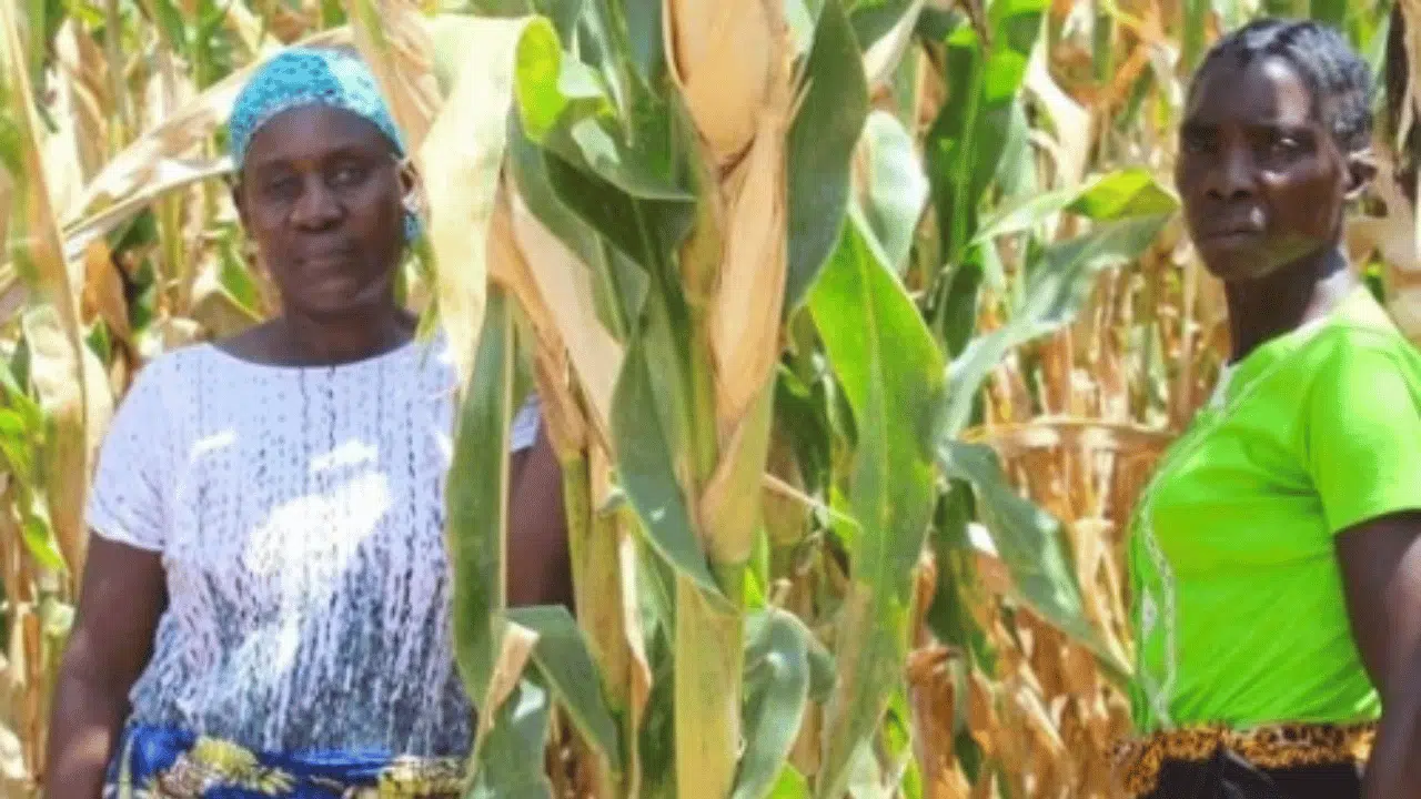How can Agroecology Deliver Climate Justice in Africa? A Farmer’s Perspective